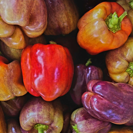 Sweet Pepper - Iko Iko