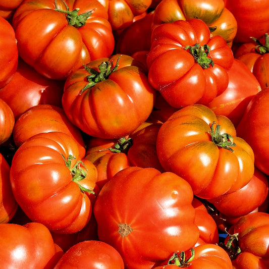Tomato - Rosso Sicillian