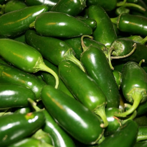 Jalapeño Pepper - Early
