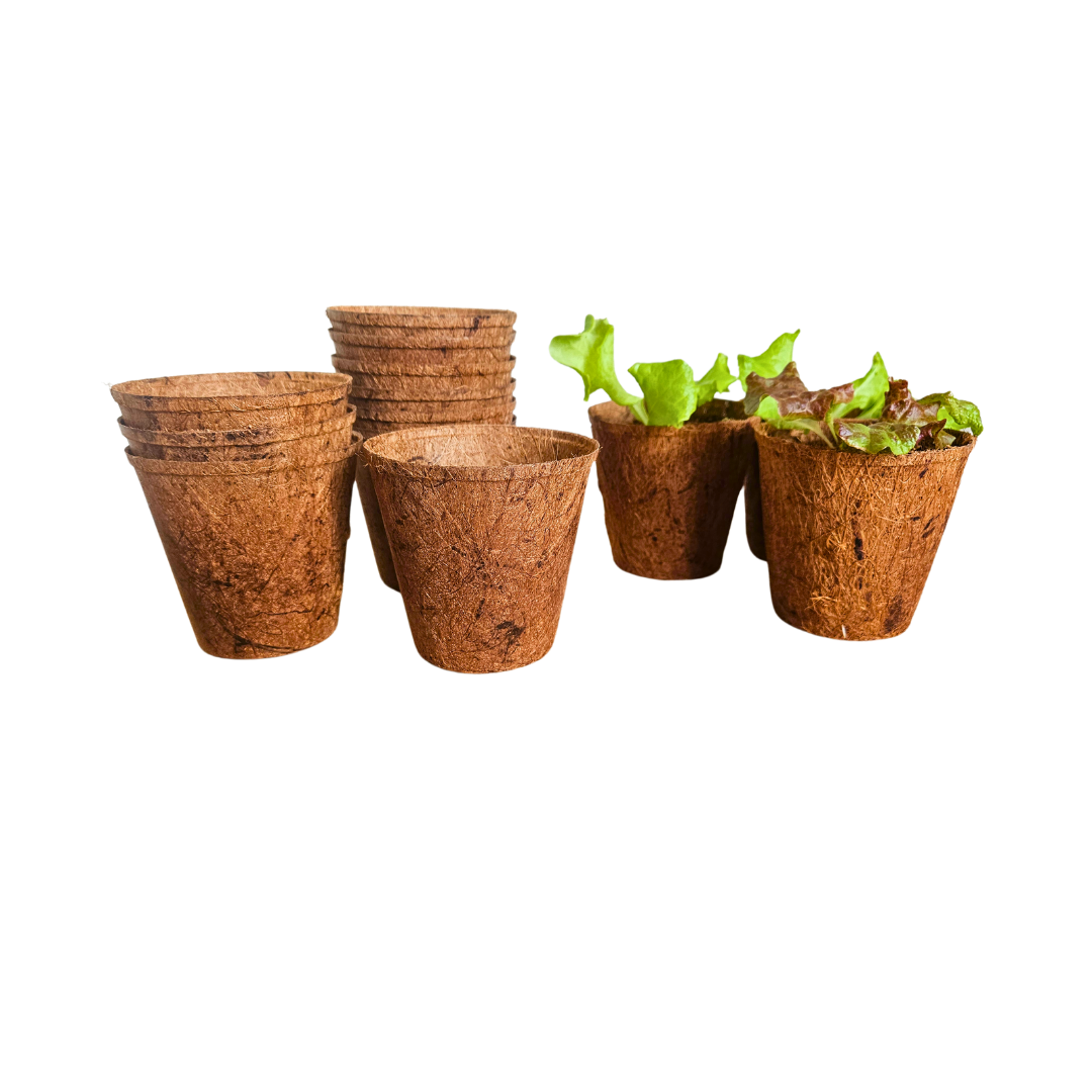 3" Coconut Coir Pots