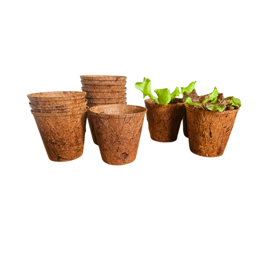 3" Coconut Coir Pots