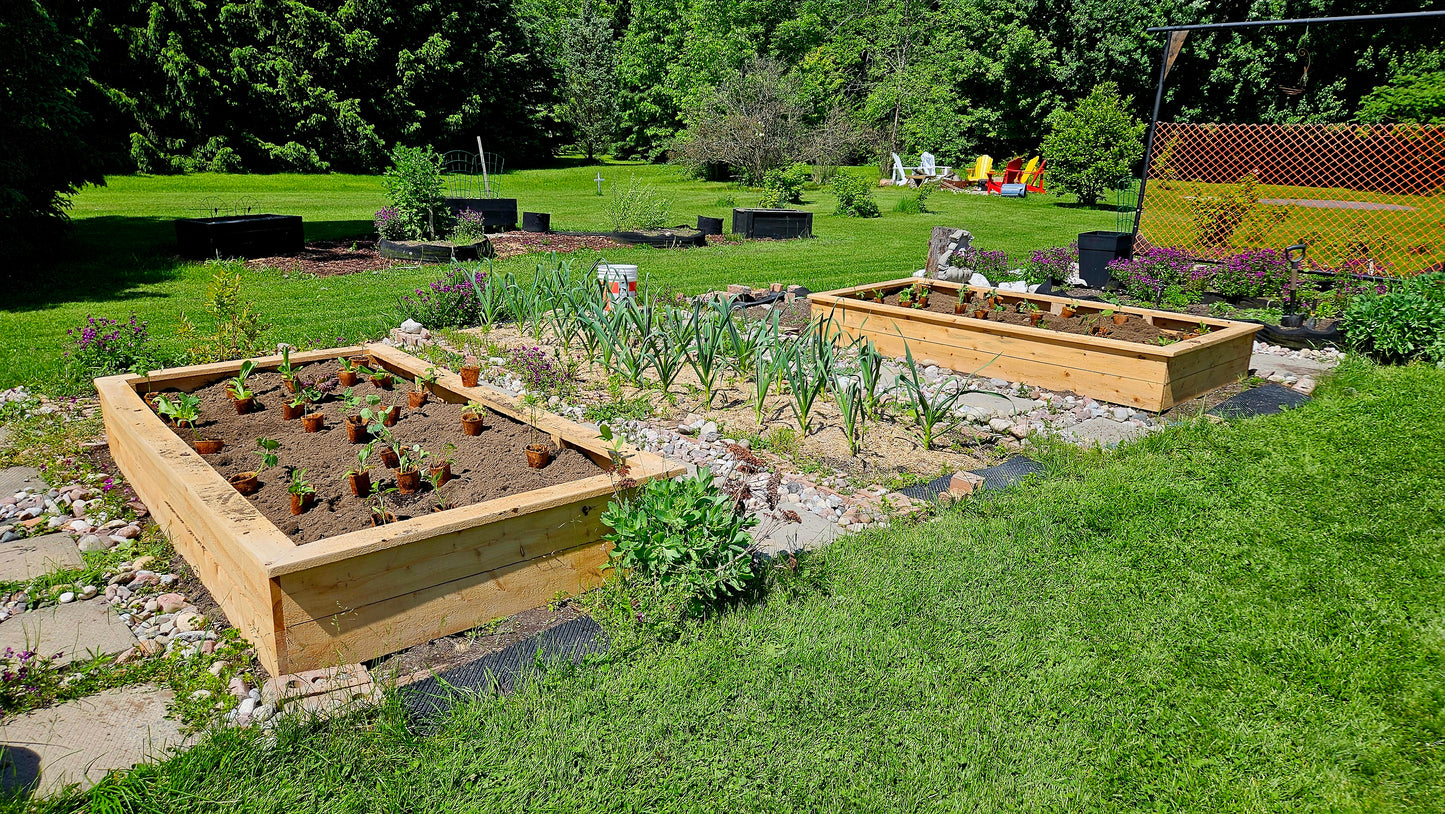 Complete Succession Garden Package