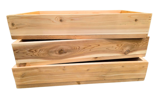 Eastern White Cedar Seed Starting Tray