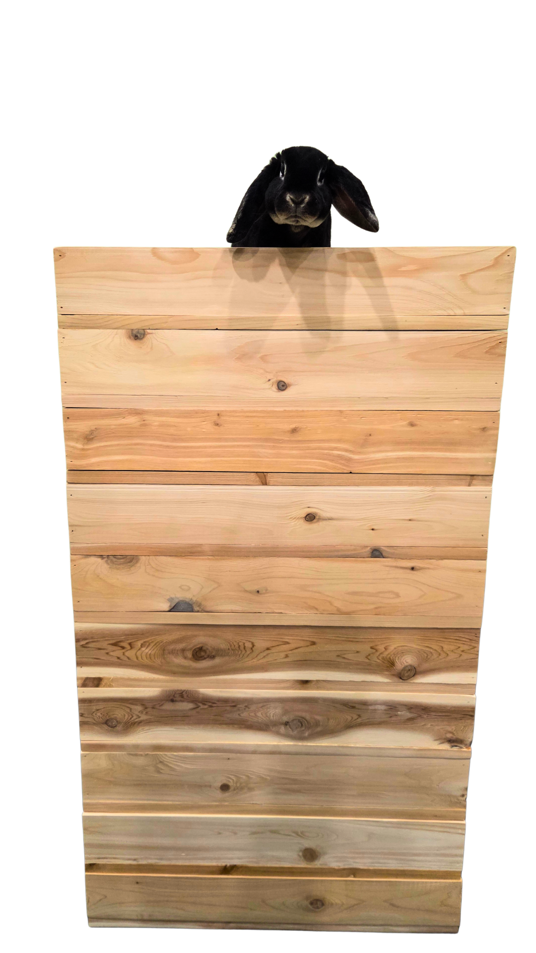 Eastern White Cedar Seed Starting Tray