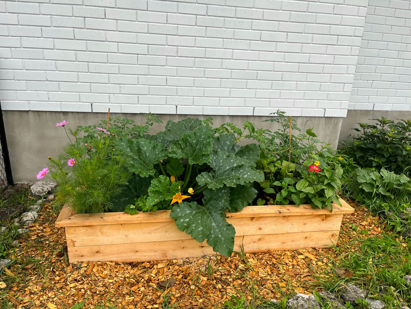 Custom Garden Beds