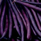 Bush Beans - Purple