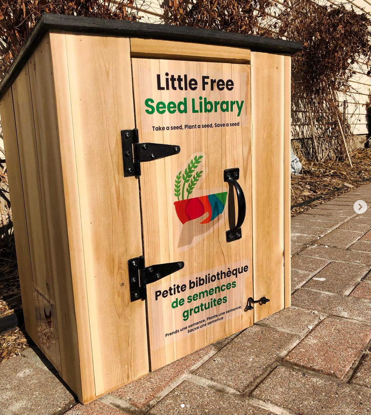 Little Free Seed Library