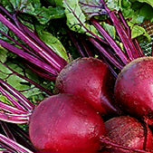 Beets - Red