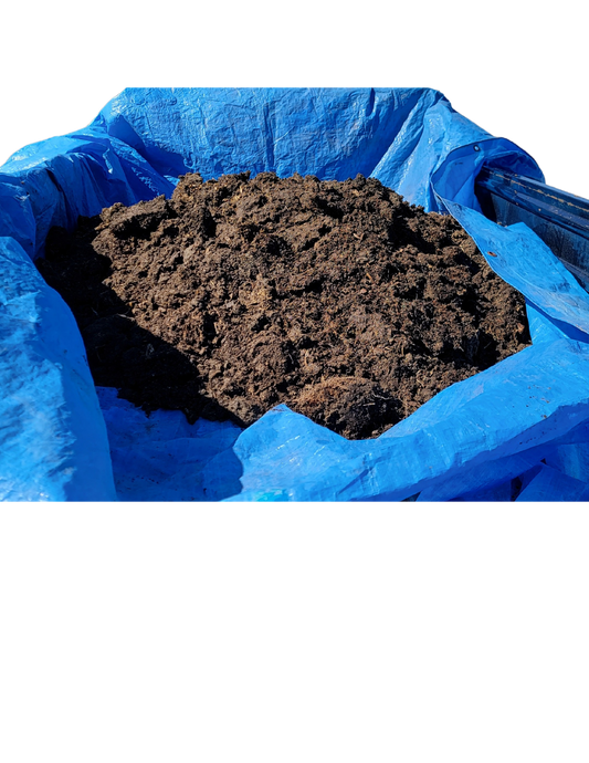 Chicken Manure