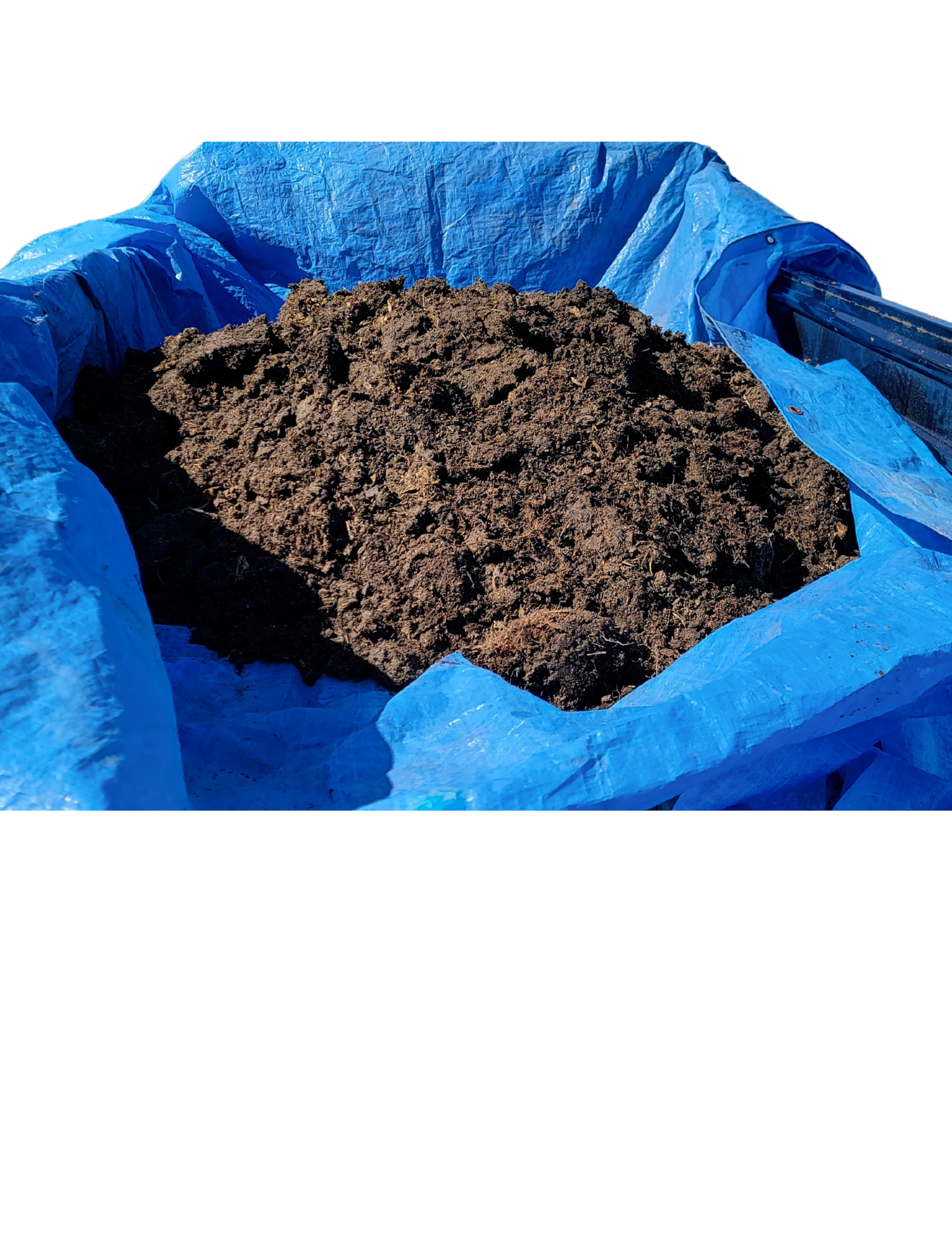 Chicken Manure