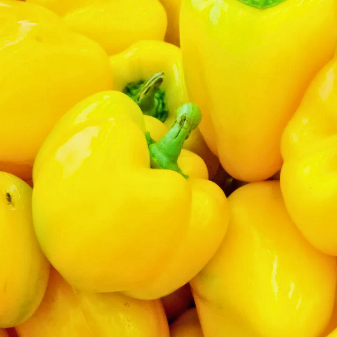 Bell Pepper - Mini Yellow