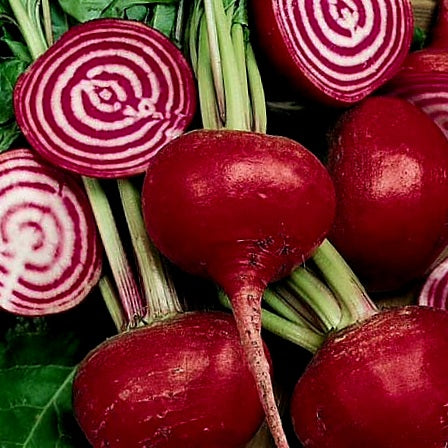 Beets - Striped