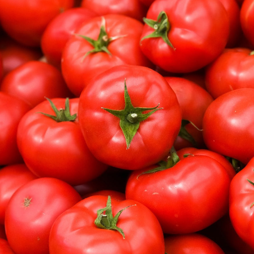 Tomato - Slicer - Red