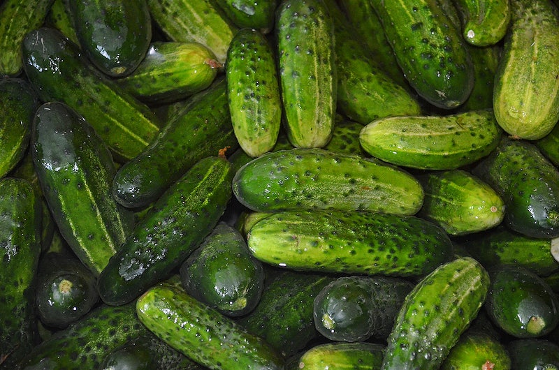 Pickling Cucumber